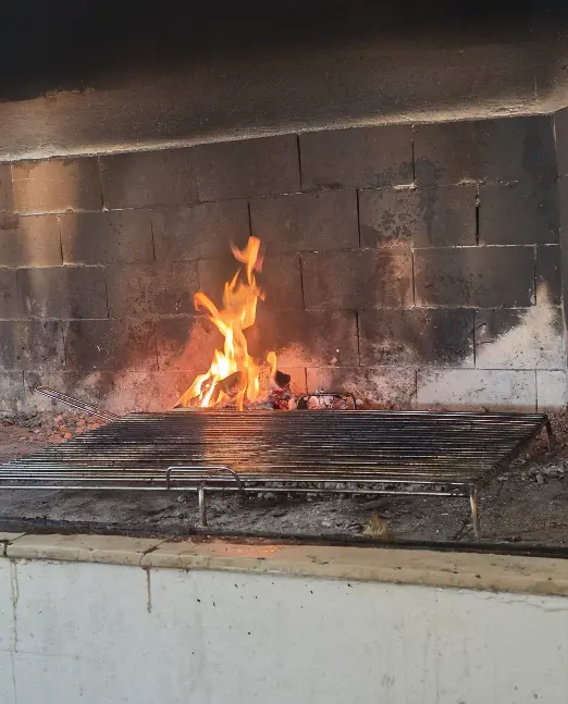 Grill and fireplace